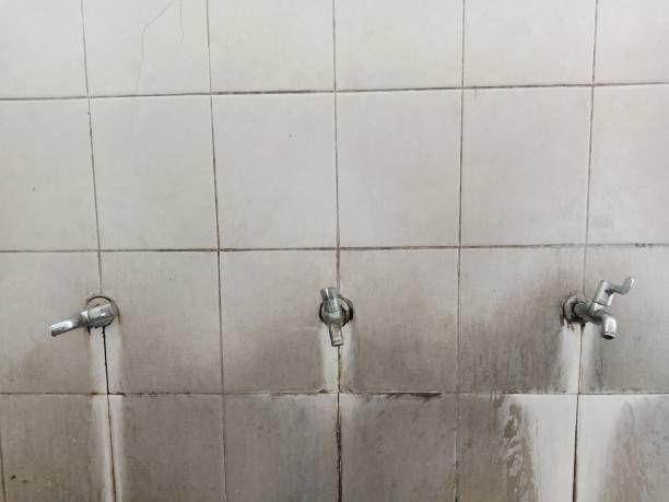 Best Basement water damage restoration  in Lexington, OK