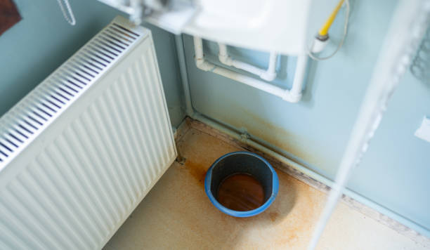 Best Water damage restoration mold remediation  in Lexington, OK