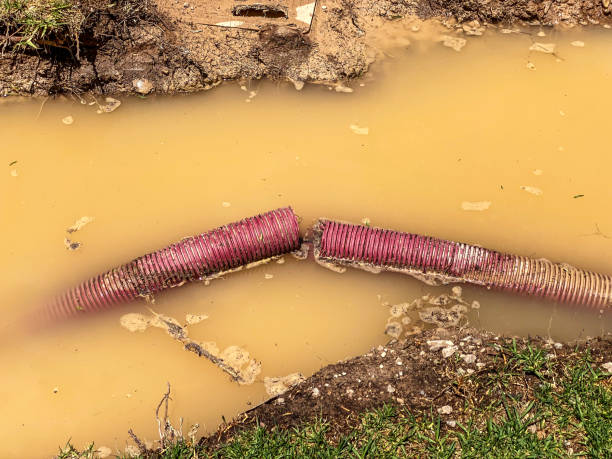 Best 24/7 water damage repair  in Lexington, OK
