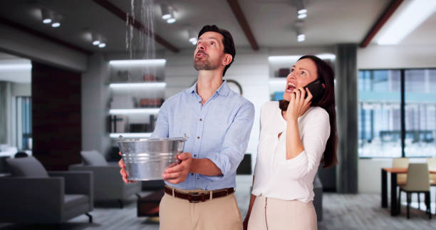 Best Flooded house restoration  in Lexington, OK